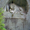 lion_lucerne lion_lucerne