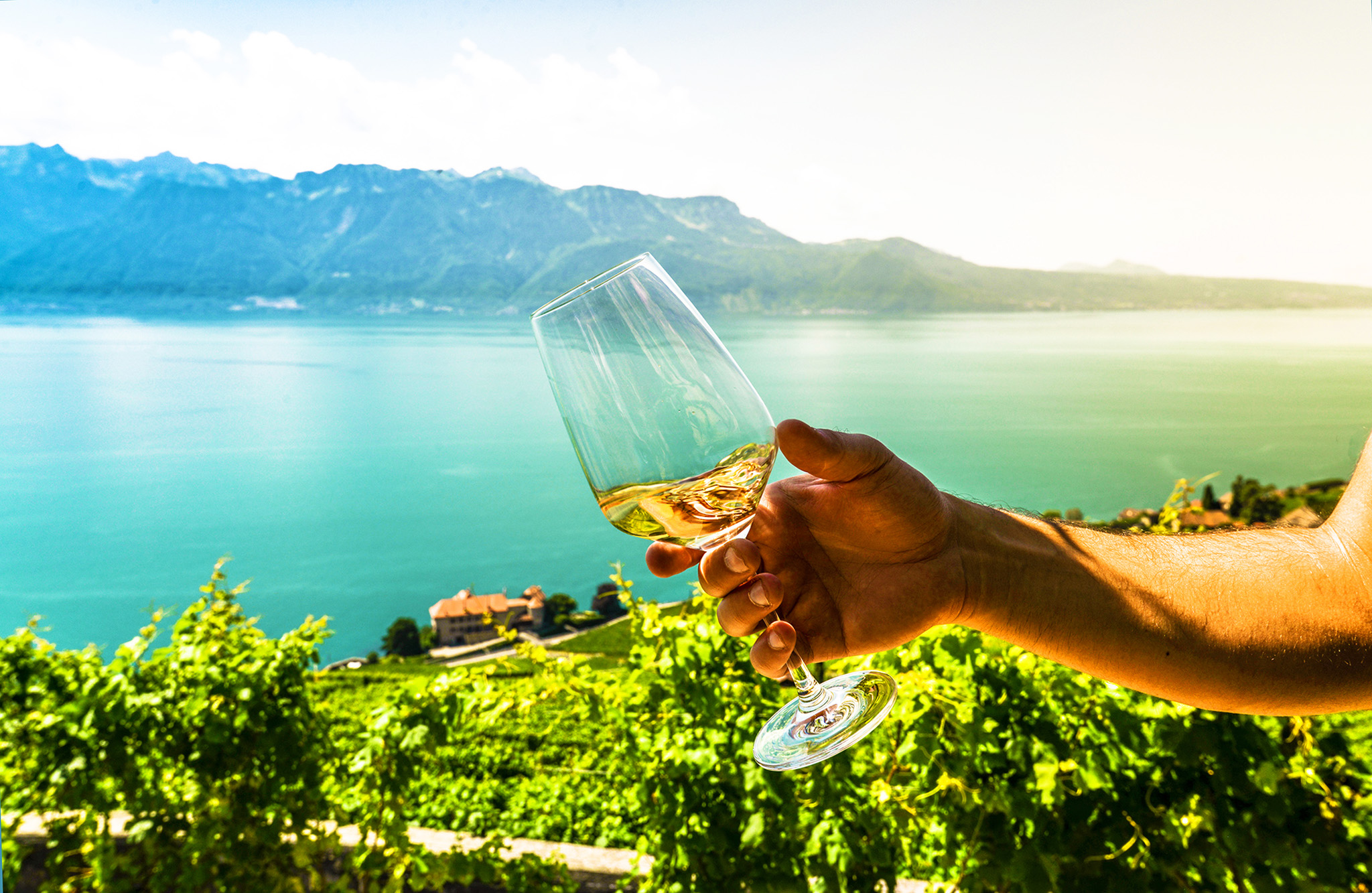 Apéritif Lavaux Apéritif Lavaux